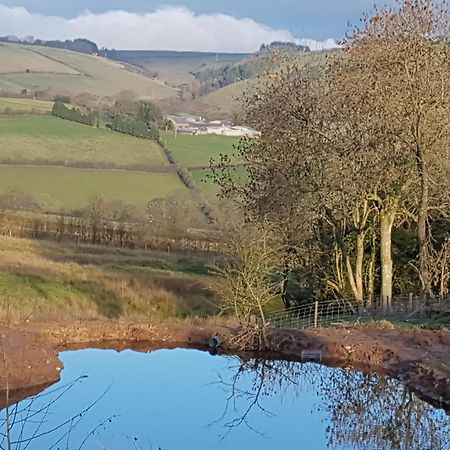 Eco Cottage Joe The Buck Craven Arms Exteriör bild