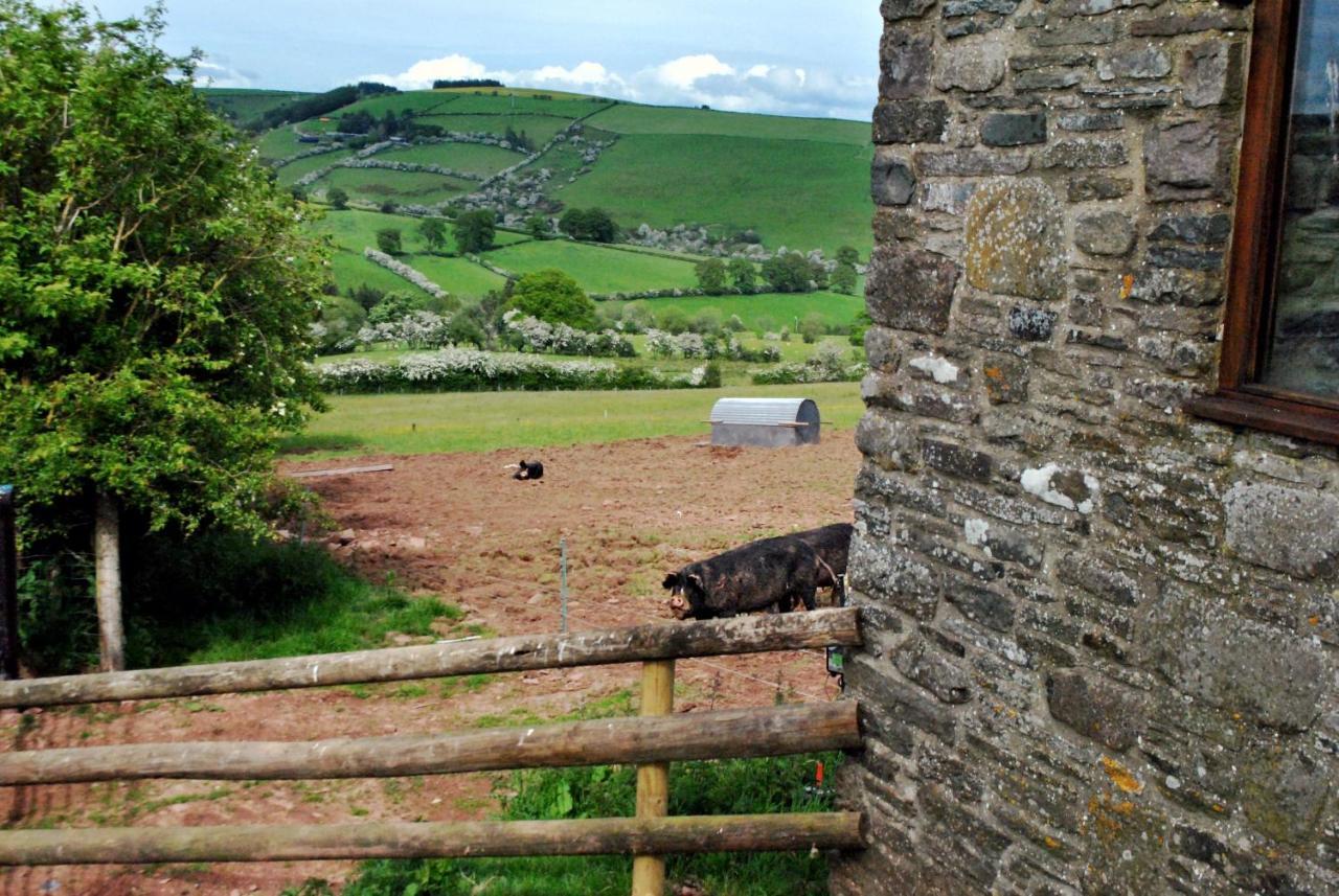 Eco Cottage Joe The Buck Craven Arms Exteriör bild