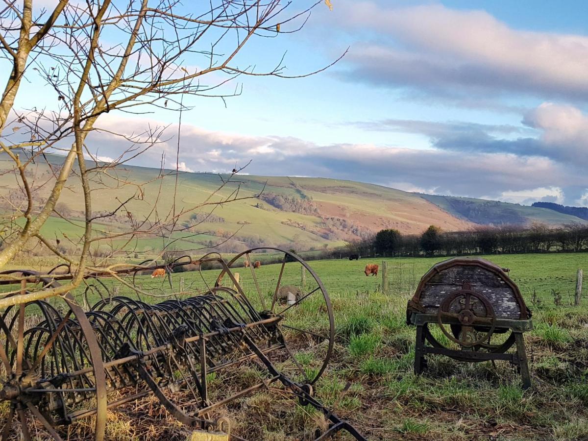 Eco Cottage Joe The Buck Craven Arms Exteriör bild