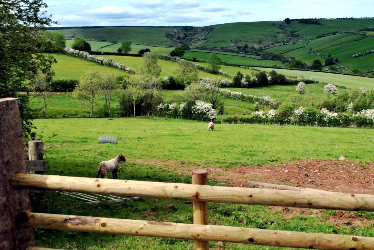 Eco Cottage Joe The Buck Craven Arms Exteriör bild