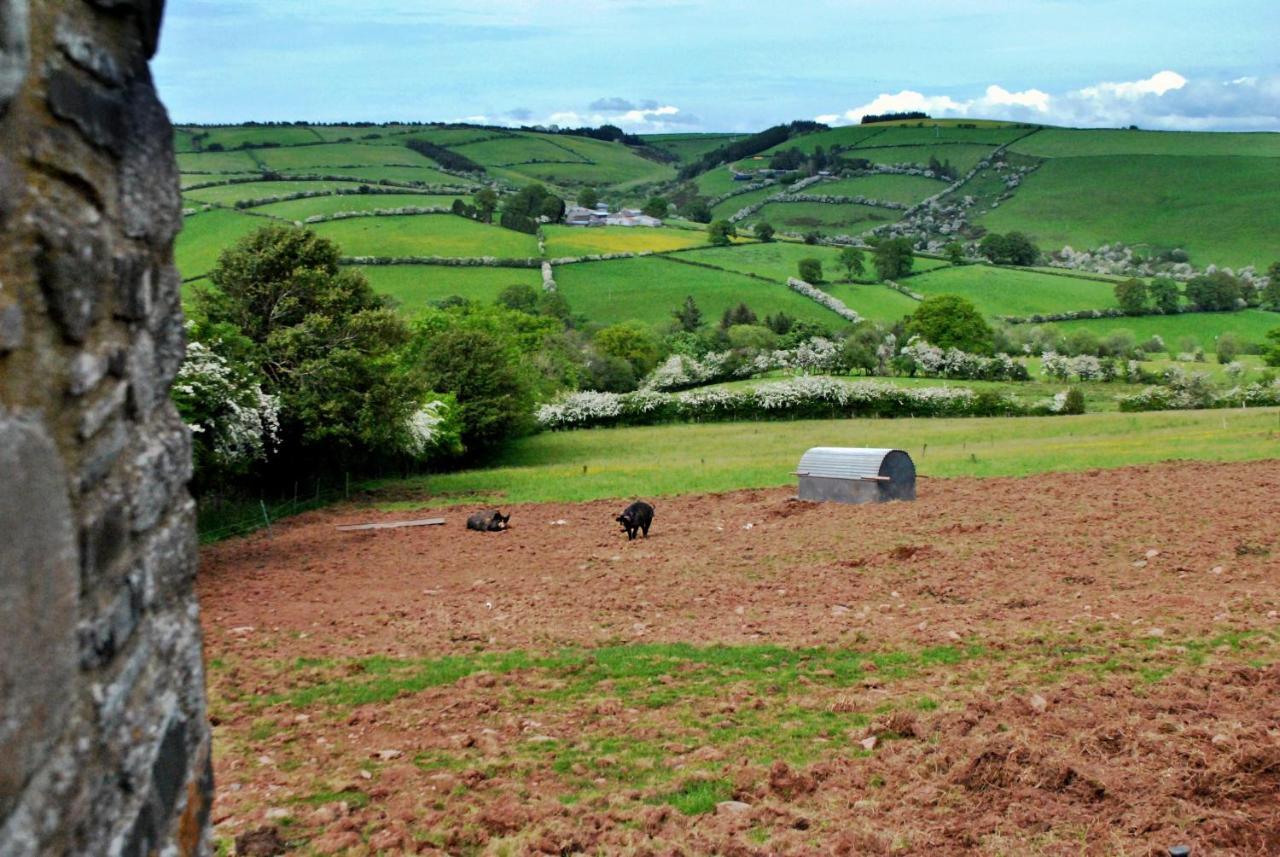 Eco Cottage Joe The Buck Craven Arms Exteriör bild