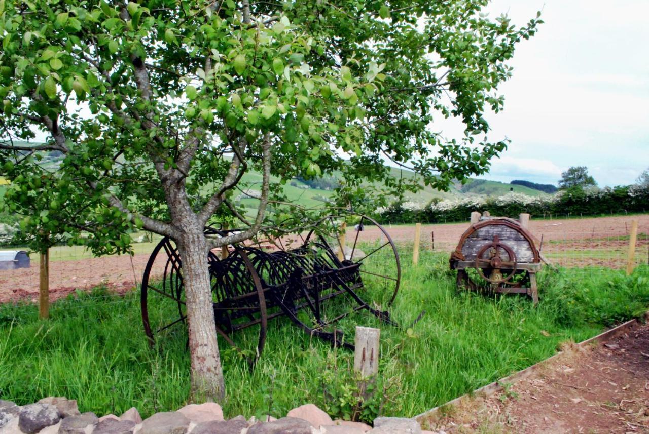 Eco Cottage Joe The Buck Craven Arms Exteriör bild