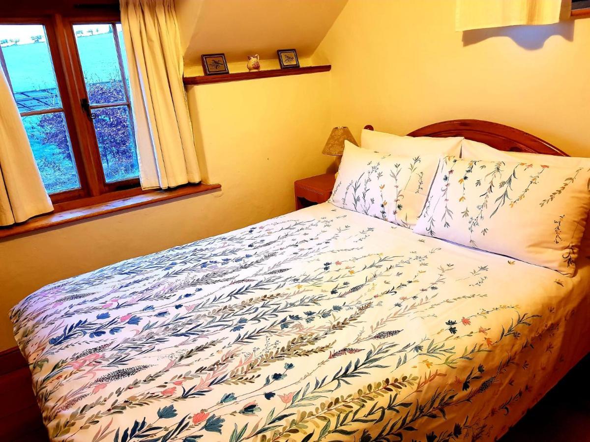 Eco Cottage Joe The Buck Craven Arms Exteriör bild