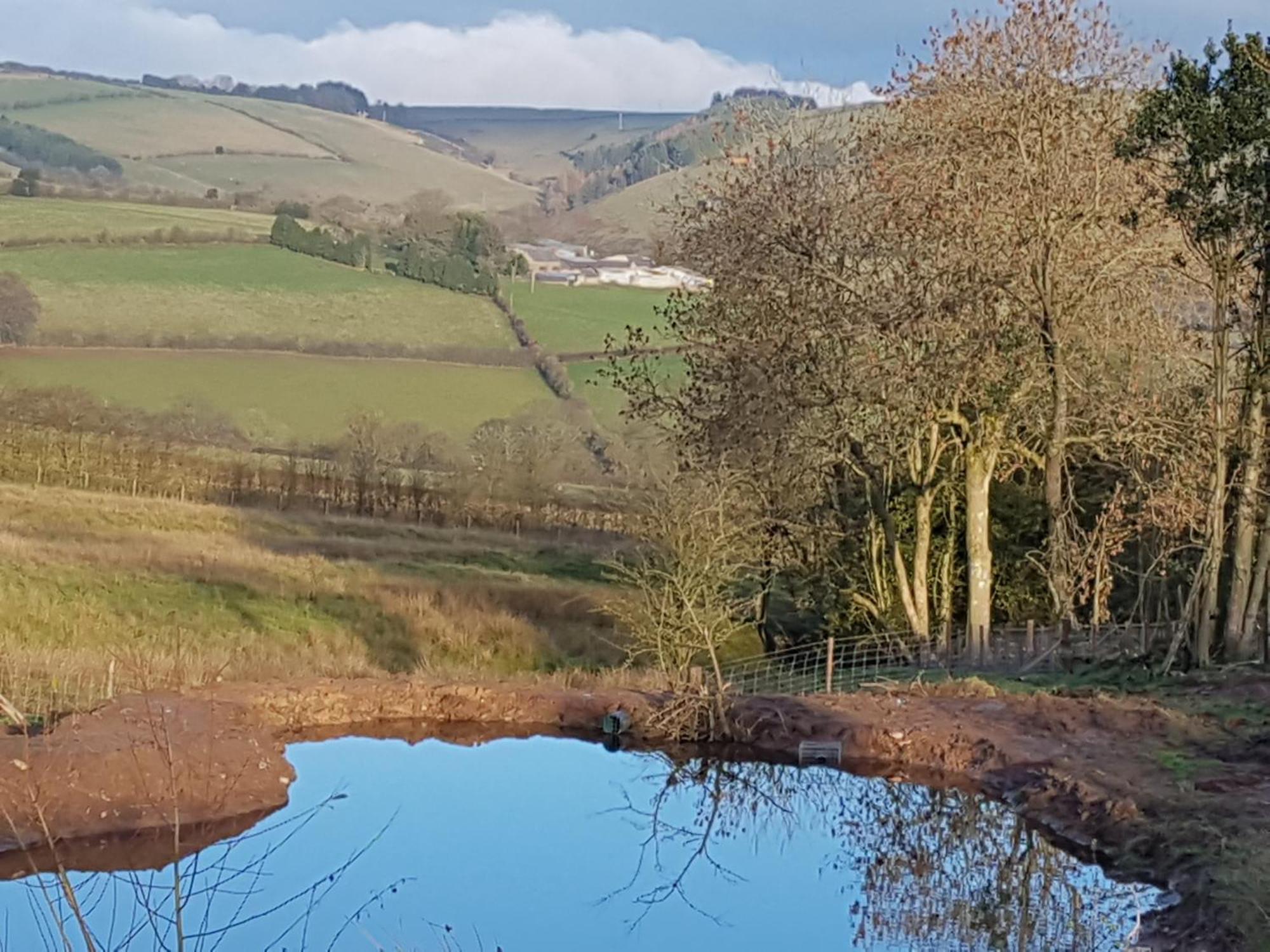 Eco Cottage Joe The Buck Craven Arms Exteriör bild