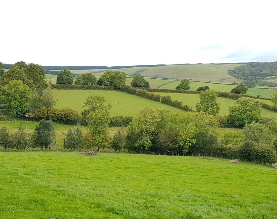 Eco Cottage Joe The Buck Craven Arms Exteriör bild