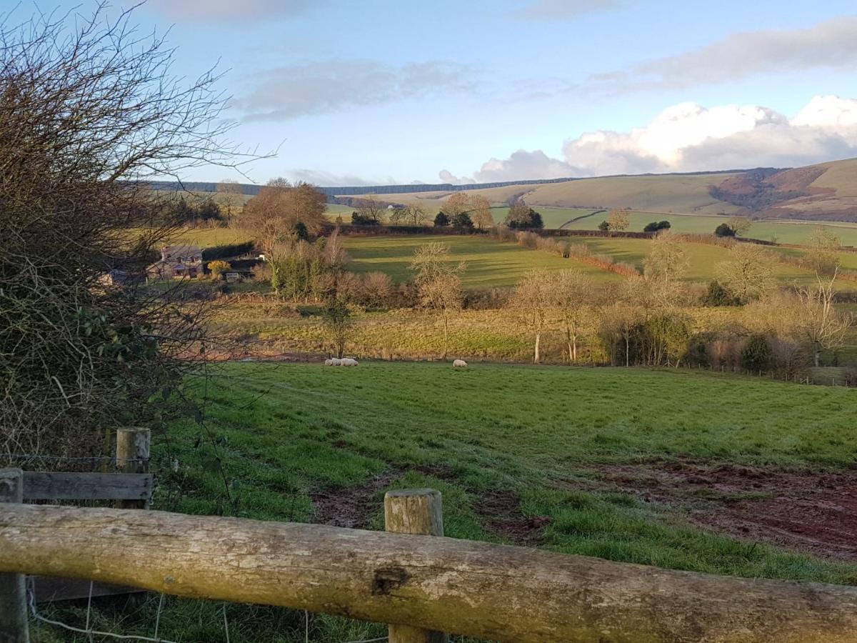 Eco Cottage Joe The Buck Craven Arms Exteriör bild